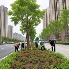 新乐城市绿化工程需要什么资质