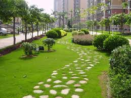 榆树附近绿化苗木市场在哪里啊